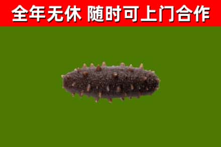 大连烟酒回收干海参.jpg